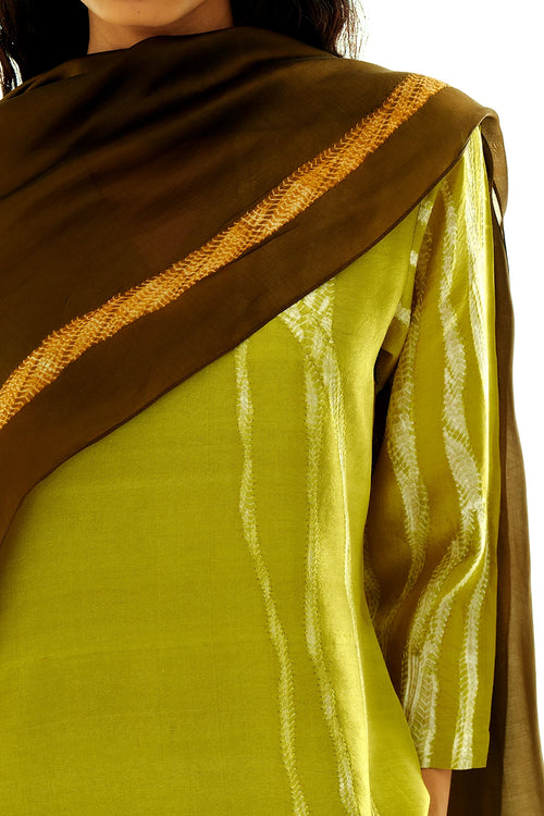Terra Loam Dupatta
