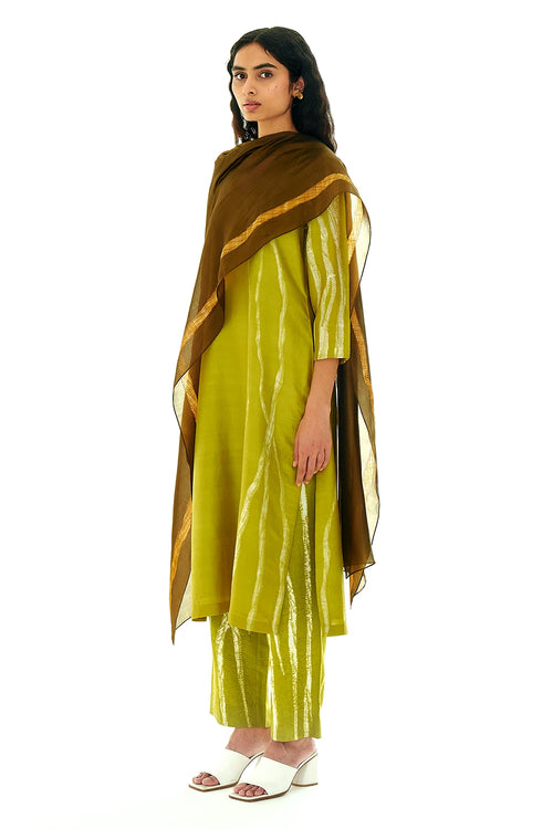 Terra Loam Dupatta