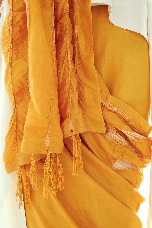 Lateral Sand Saree