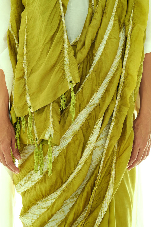 Lateral Green Shoot Saree