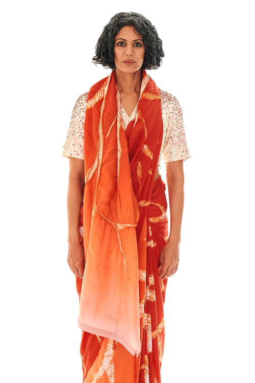 Rhizo Clay Saree