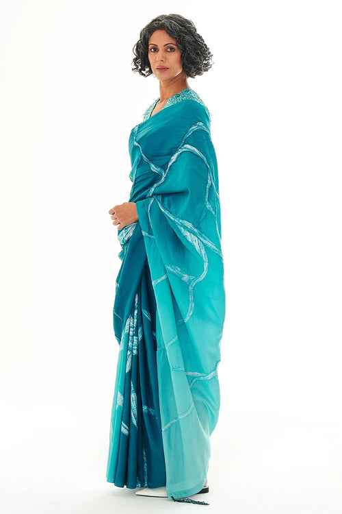 Rhizo Patina Saree
