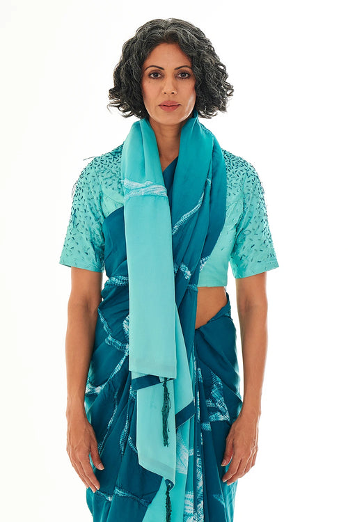 Rhizo Patina Saree