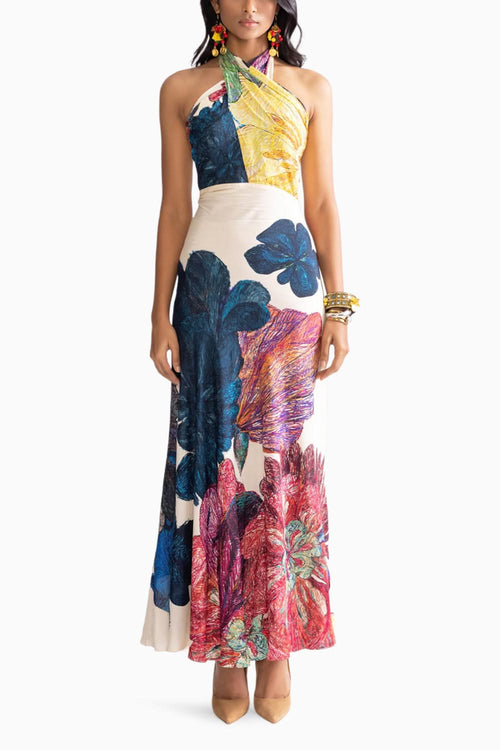Shailee Multi Dress