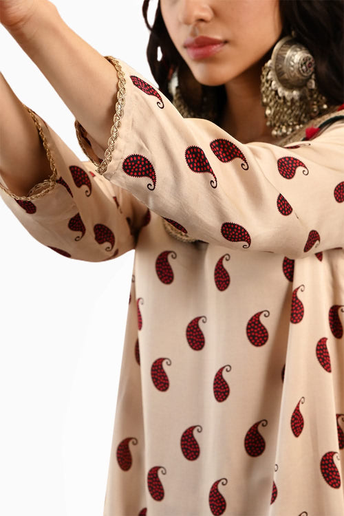 Paisley Sarika Sharara Set