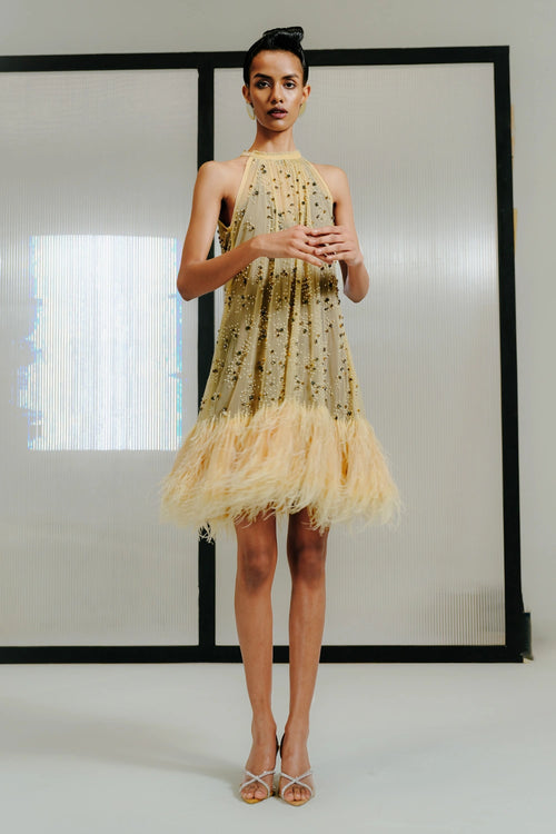 Nude Feather-Crystal Embellished Short Shift Dress