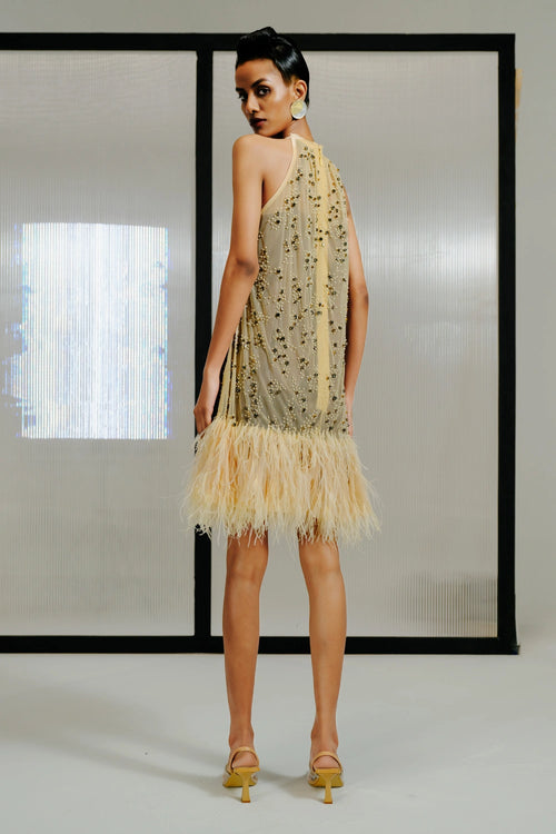 Nude Feather-Crystal Embellished Short Shift Dress