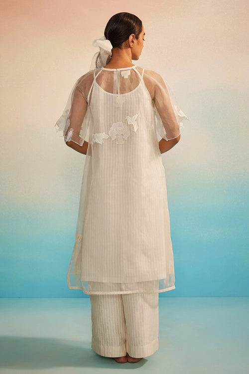 Yuugen Organza Kurta Set