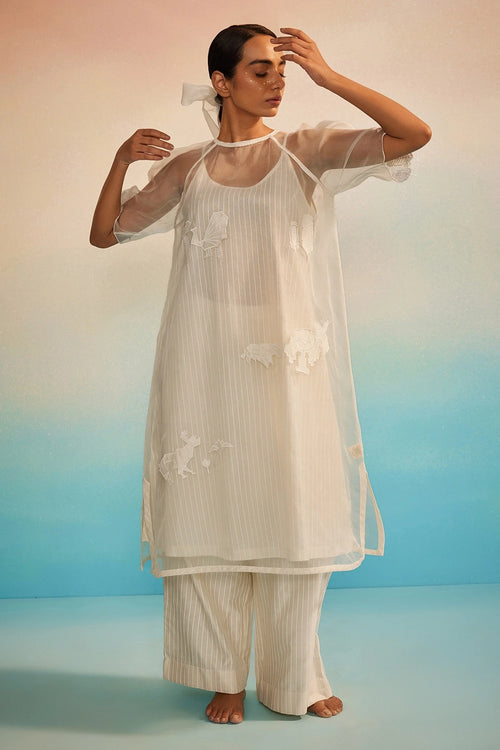 Yuugen Organza Kurta Set