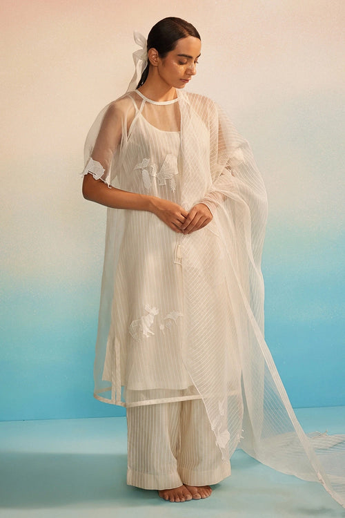 Yuugen Organza Kurta Set