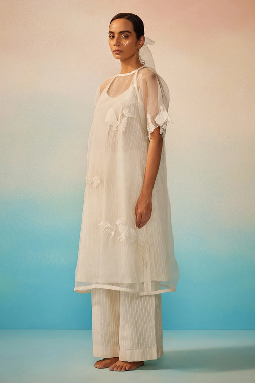 Yuugen Organza Kurta Set