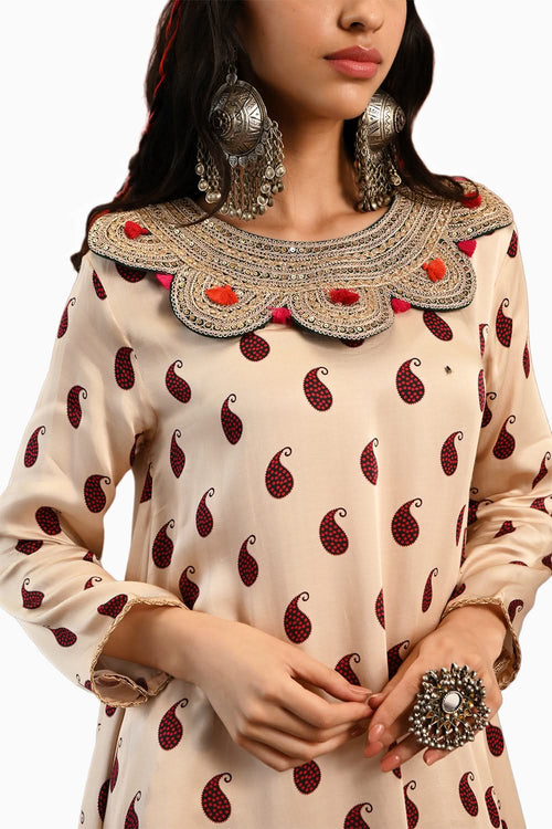Paisley Sarika Sharara Set