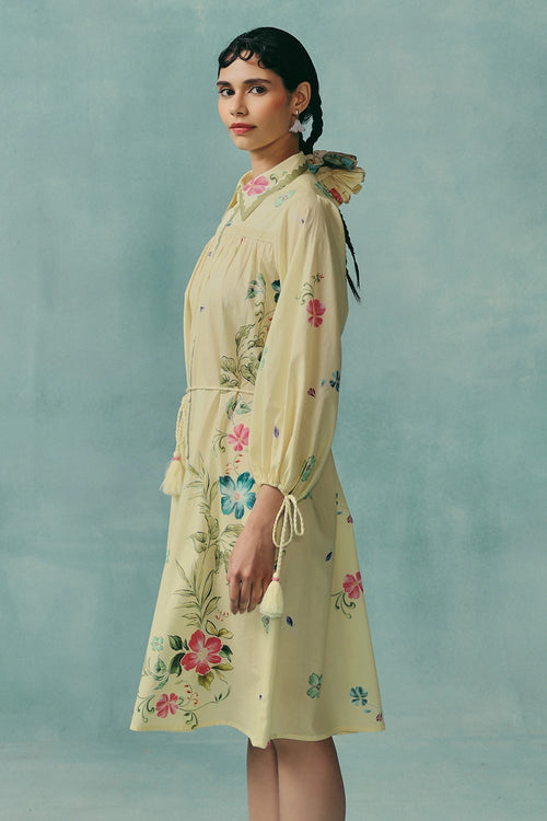 Lemon Rose Shirt Dress