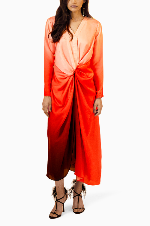 Echo Rose A-Line Dress