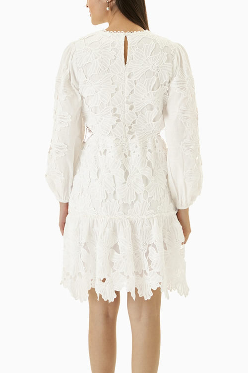 The Sommerset Lace Dress