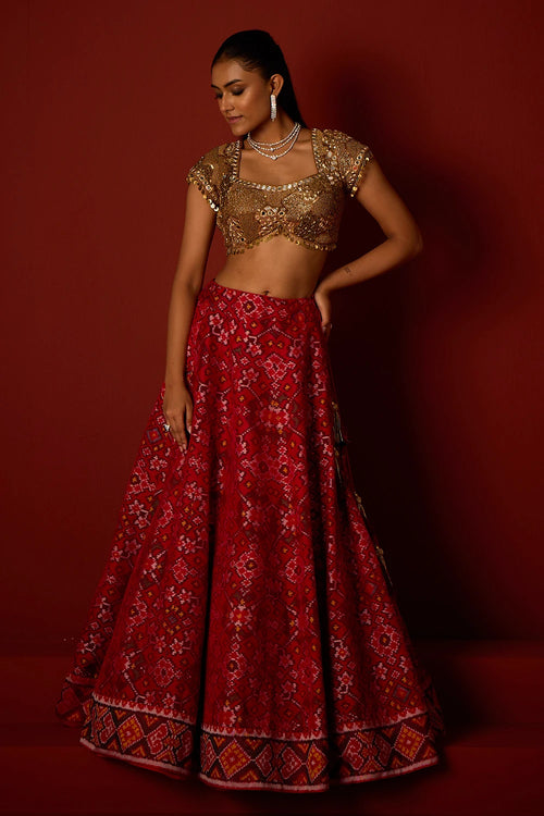 Ruby Red Patola Lehanga with Tassel