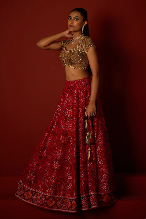 Ruby Red Patola Lehanga with Tassel