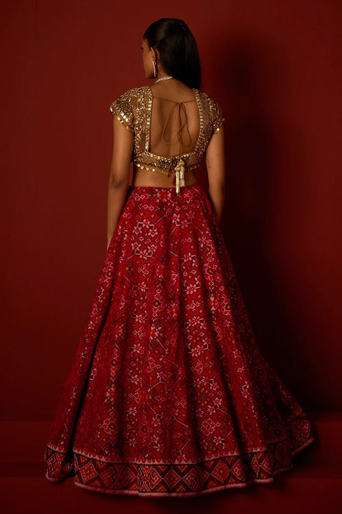 Red Patola Lehanga with Gold Embellished Blouse and Dupatta