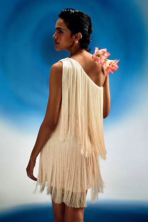 Layered Ombre Fringe Dress