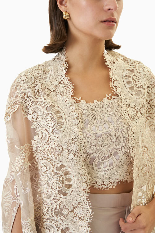 Mauve Organza Cape Set