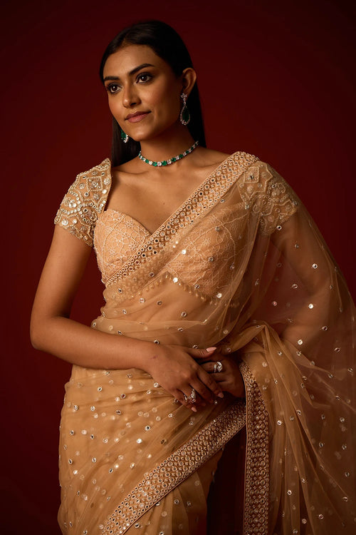 Gold Net Mirrorwork Embellished Saree With Mirrorwork Beadwork Blouse