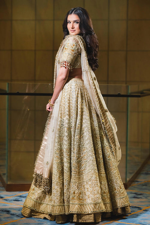 Shvet Afsana Lehenga Set