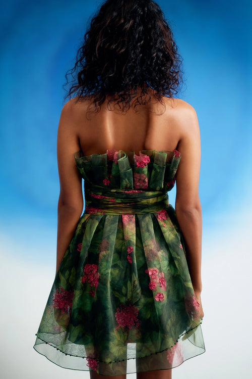 Printed Cabbage Dress