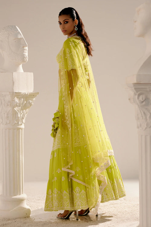 Neon Green Ambi Lehenga