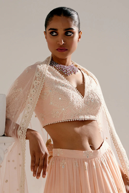 Blush Pink Ambi Lehenga
