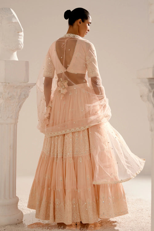 Blush Pink Ambi Lehenga