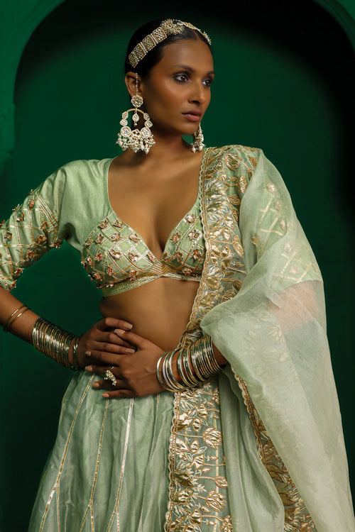Madhuri Lehenga Set