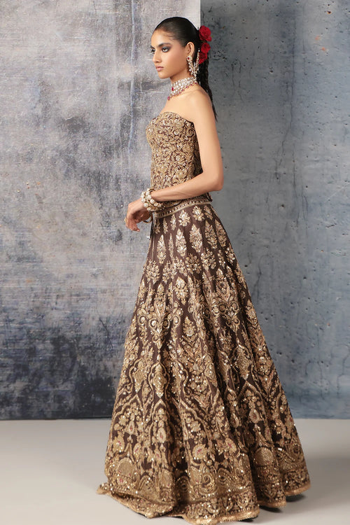 Zar Rang Brown Corset Lehenga Set