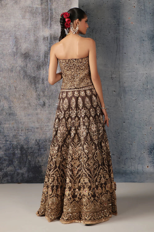Zar Rang Brown Corset Lehenga Set