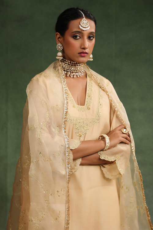 Nude Romance Beige Ombre Sharara Set