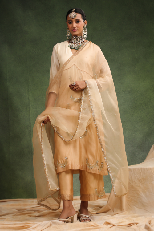 Mehr Beige Ombre Kurta Set