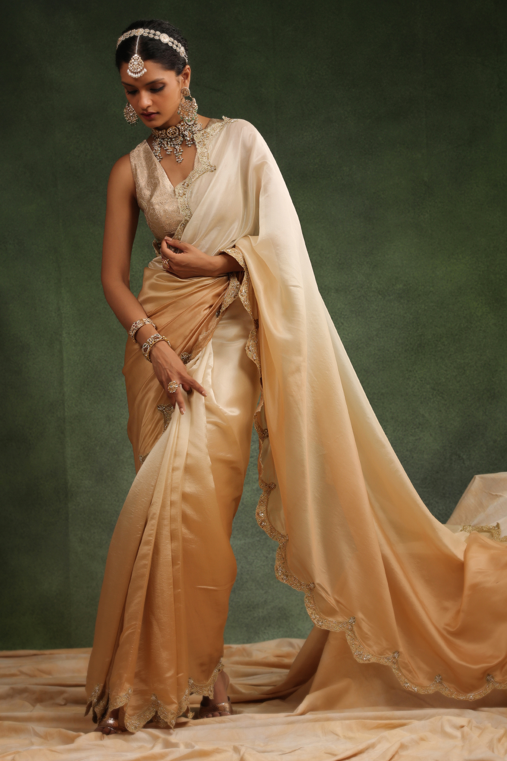 Honey Beige Ombre Sari