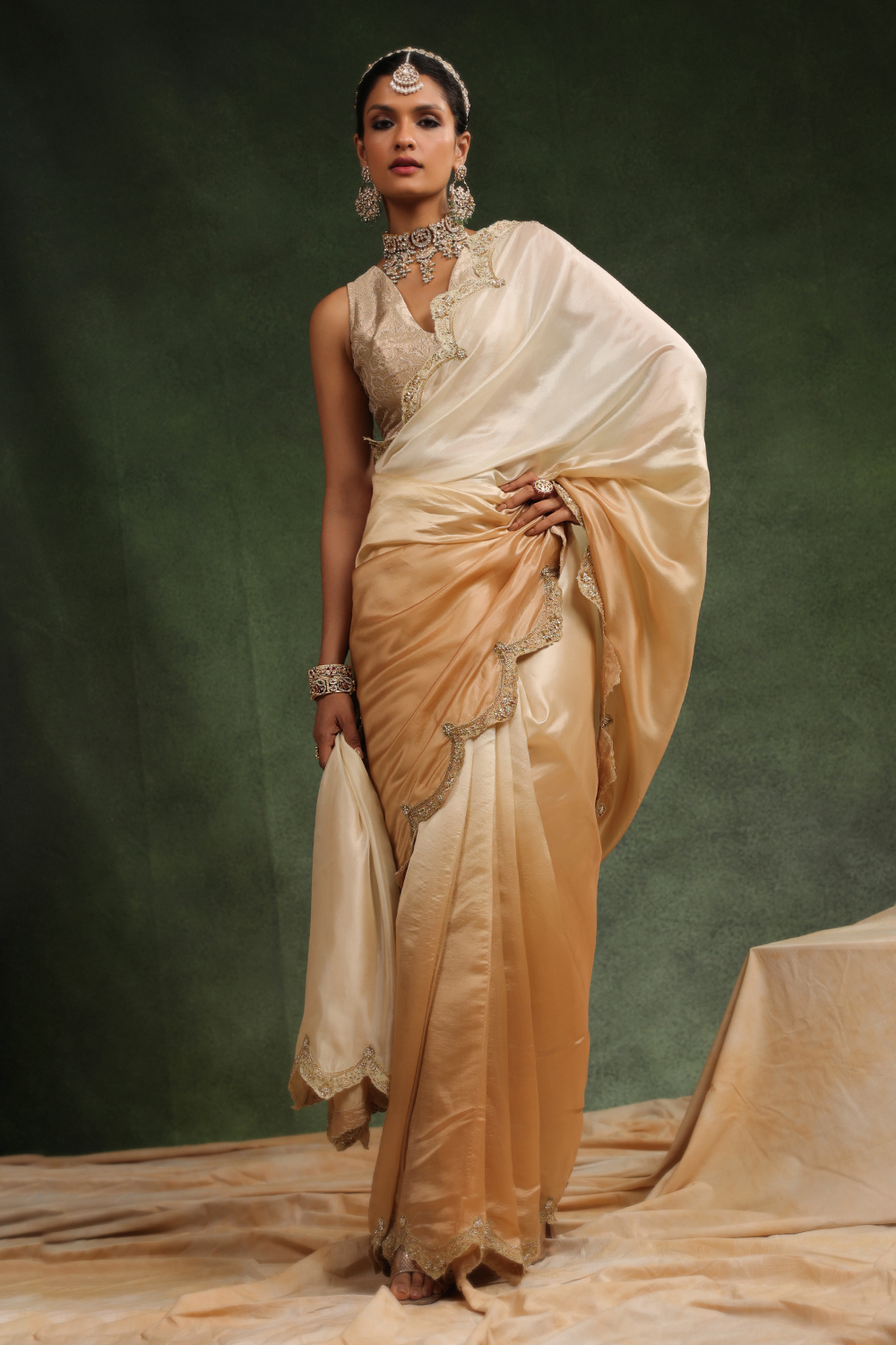 Honey Beige Ombre Sari