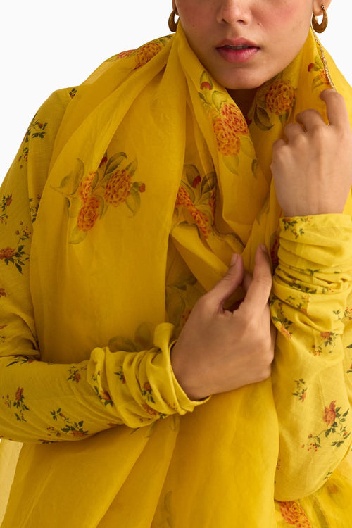 Evani Yellow Organza Dupatta