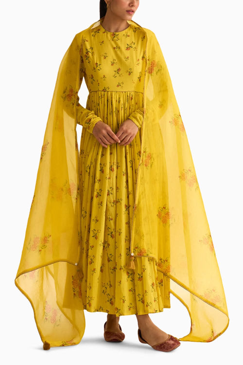 Evani Yellow Organza Dupatta