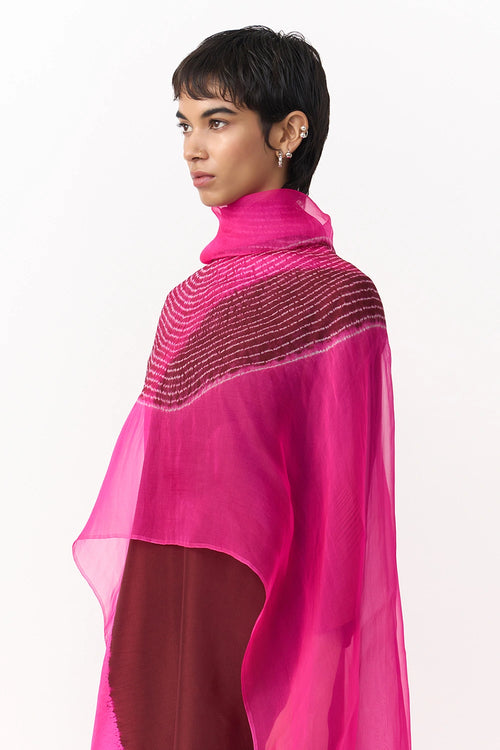 Shibori Rani Organza Dupatta