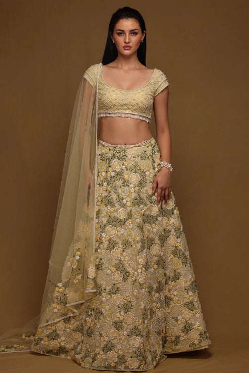 Beaded Lehenga Set