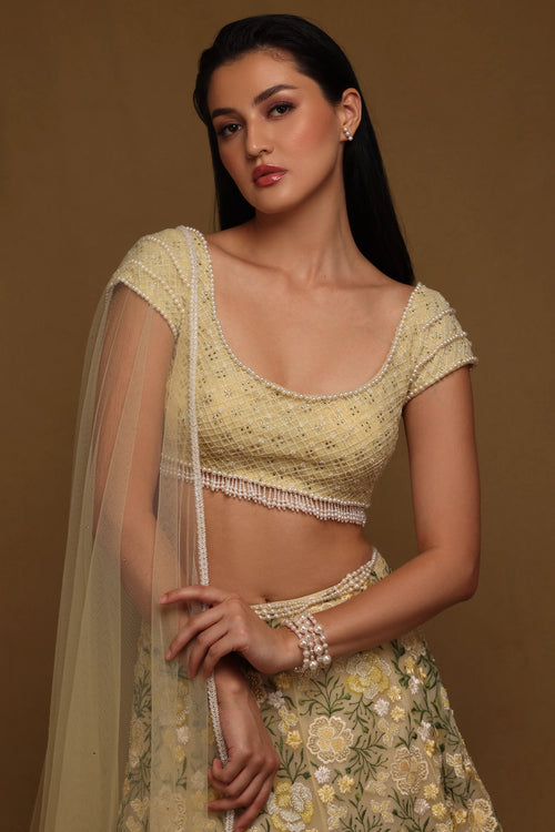 Beaded Lehenga Set