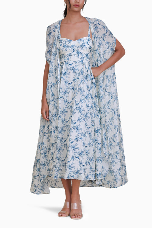 Bluebird Frida Overlay