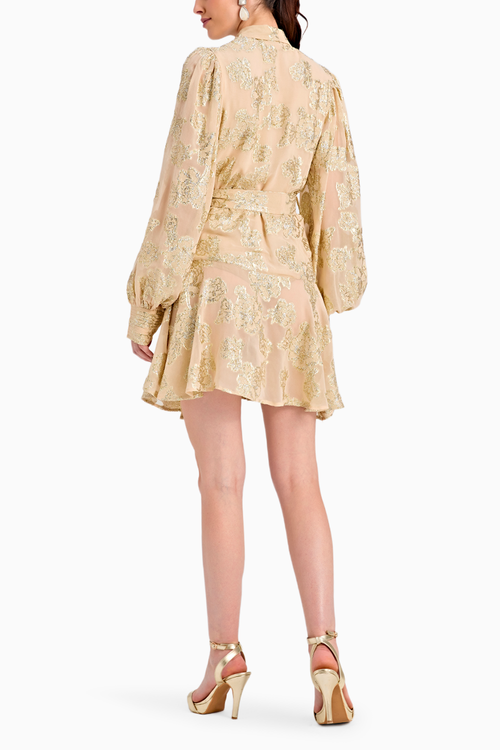 Valencia Beige Dress