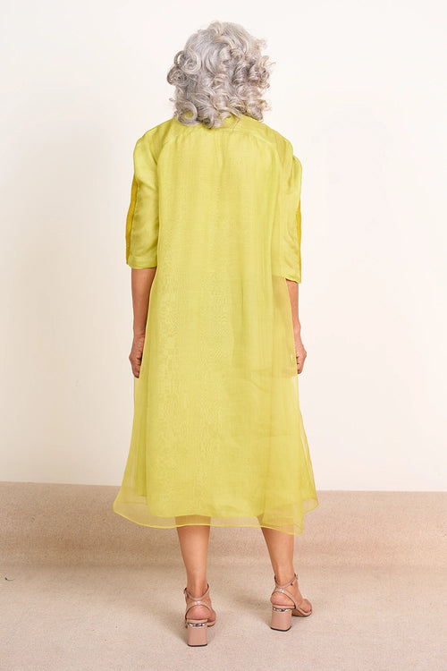Flared Dress