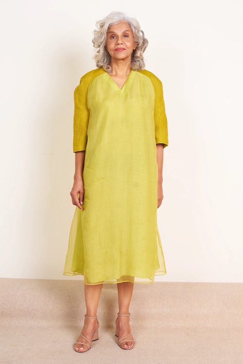 Flared Dress