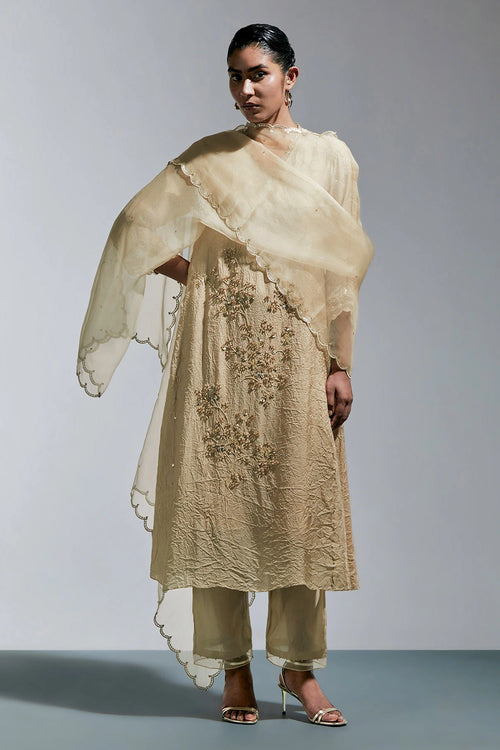Shell Scalloped Organza Dupatta