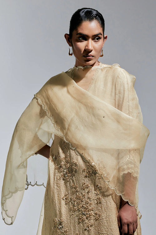 Shell Scalloped Organza Dupatta