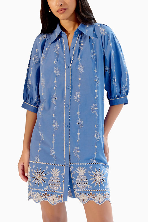 Rosa Blue Mini Dress