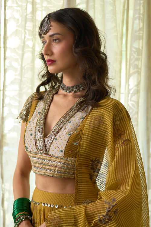 Inder Skirt with Avni Blouse and Nimi Dupatta